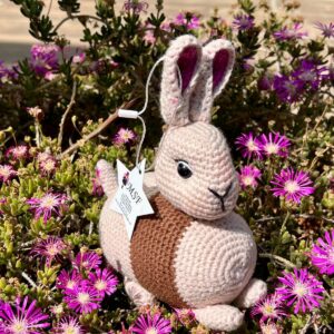 Cuddle the animal characters from the Book - Magic Sleep Fairy Rabbit